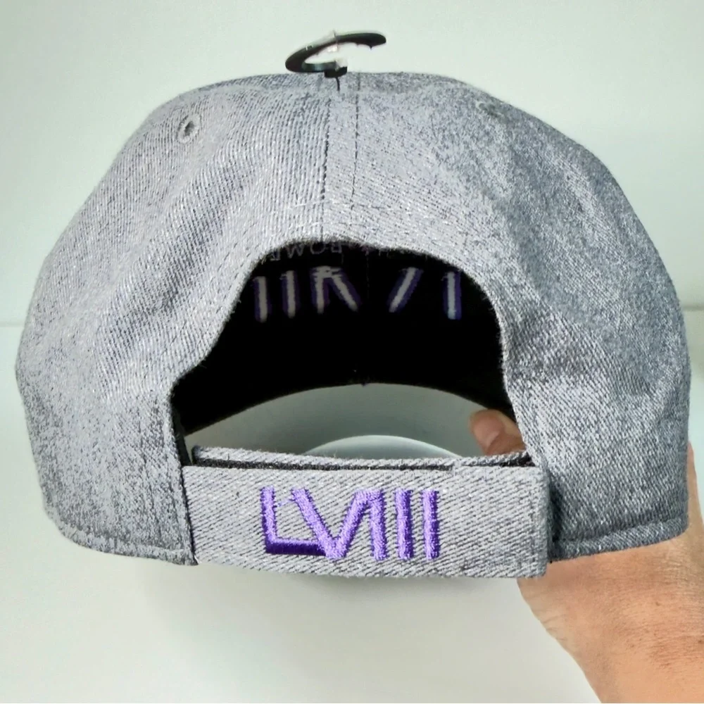 NWOT '47 Hat Super Bowl 58 NFL - Purple and Gray